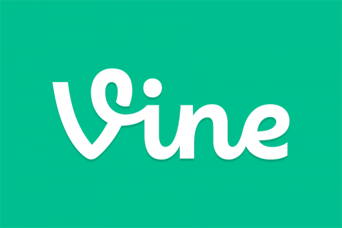 vine vine
